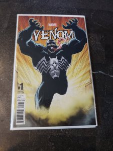 Venom #1  Ron Lim Variant Cover NM