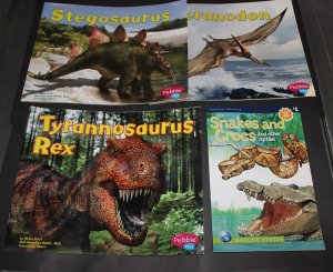 Dinosaur's   lot of 4 books