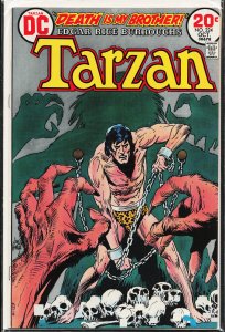 Edgar Rice Burroughs' Tarzan #224 (1973)