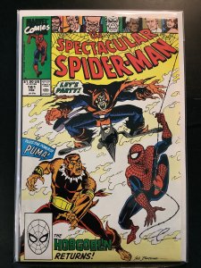 The Spectacular Spider-Man #161 Direct Edition (1990)