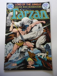 Edgar Rice Burroughs' Tarzan #227 (1974) VG Condition moisture stain bc