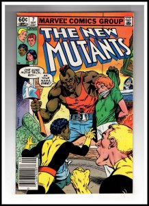 The New Mutants #7 (1983) / HCA2