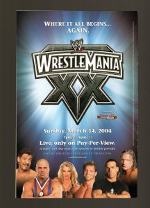 Superman/Batman #8 - Michael Turner Sketch Cover. 2nd Print. (7.5/8.0) 2004