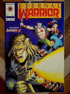 Lot of 23: Eternal Warrior #1-3, 5-23 Near-Complete Run + Yearbook, Valiant 1992