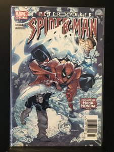 Peter Parker: Spider-Man #51 (2003)