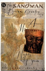 The Sandman #19 (1990) Sandman