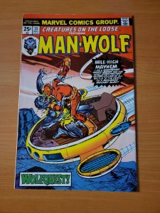 Creatures on the Loose #35 ~ VERY FINE - NEAR MINT NM ~ 1975 Marvel Comics