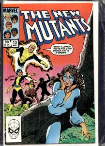 The New Mutants #13 (1984) New Mutants [Key Issue]