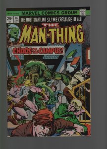 Man-Thing #18 vf/nm 