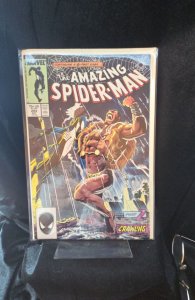 The Amazing Spider-Man #293 Direct Edition (1987) Spider-Man 