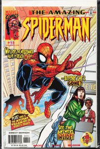 The Amazing Spider-Man #13 (2000) Spider-Man