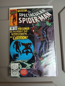 The Spectacular Spider-Man #163 (1990)