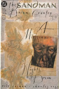 Sandman Dream Country # 19 NM- DC Vertigo Neil Gaiman [J7]