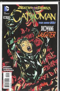 Catwoman #14 (2013) Catwoman