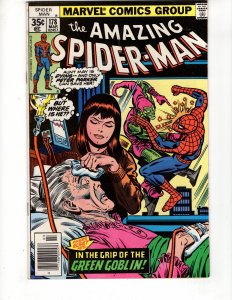 The Amazing Spider-Man #178 (1978) GREEN BOBLIN Appearance / ID#291