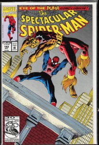 The Spectacular Spider-Man #193 (1992) Spider-Man