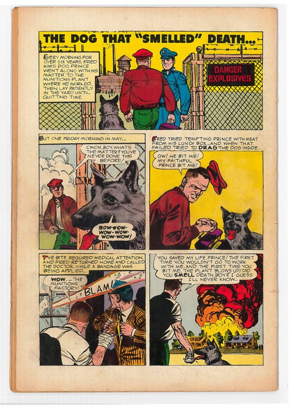 Brain Boy (1962) #1-6 complete series, very hard to find