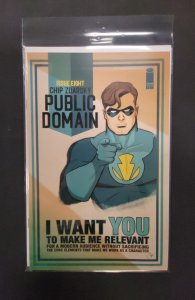 Public Domain #8 (2024)