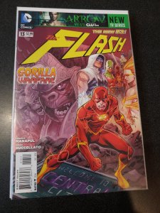 FLASH  #13 NM