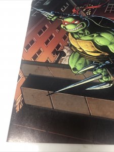 Teenage Mutant Ninja Turtels (NM) # 1 (2024)  Variant • IDW Publishing • Aaron