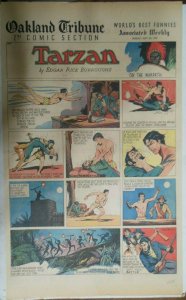 Tarzan Sunday Page #370 Burne Hogarth from 4/10/1938 Very Rare! Full Page Size