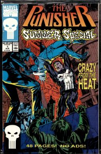 The Punisher Summer Special #1 (1991) Punisher