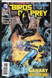 Birds of Prey #17 (2013)