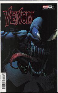 Venom #29 Variant Cover (2020)