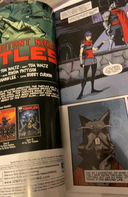 Teenage Mutant Ninja Turtles #10 Cover A - Dan Duncan (2012)