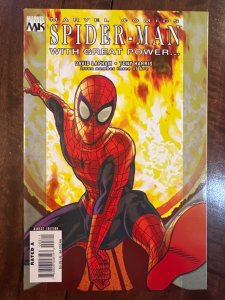 Spider-Man: With Great Power... #3 (2008)