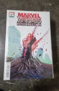 Marvel Zombies: Resurrection #1 Hans Cover (2020)