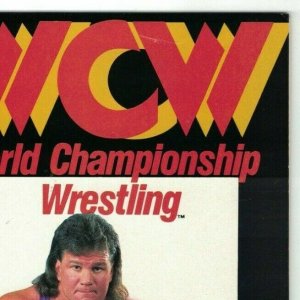 WCW World Championship Wrestling #9 FN; Marvel | Steiner Brothers