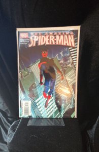 The Amazing Spider-Man #522 (2005)  
