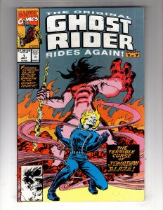 GHOST RIDER Comic Book Lot of (10) / ID#953