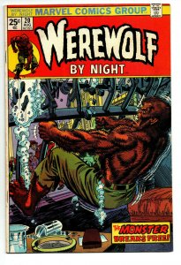 Werewolf by Night #20 - Horror - 1974 - FN/VF 