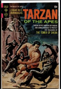 Edgar Rice Burroughs' Tarzan #204 (1971)