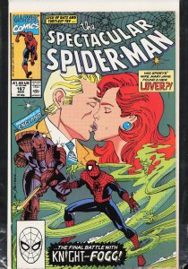The Spectacular Spider-Man #167 (1990) Spider-Man