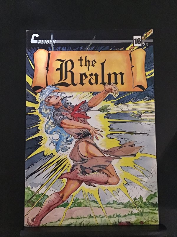 The Realm #16 (1989)