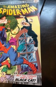 The Amazing Spider-Man #204 (1980)the black cat aplears