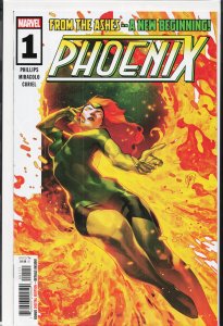 Phoenix #1 (2024) Phoenix