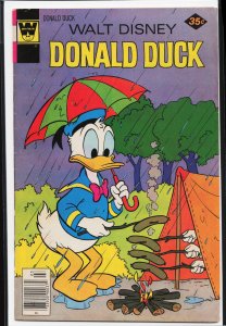 Donald Duck #193 (1978)