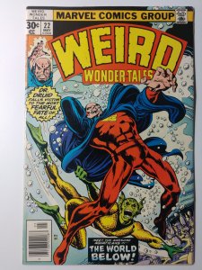 Weird Wonder Tales #22 (6.5, 1977)