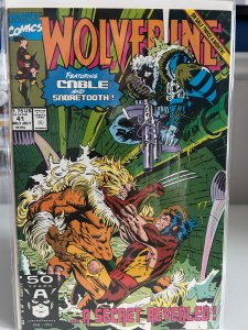 Wolverine #41 (1991)