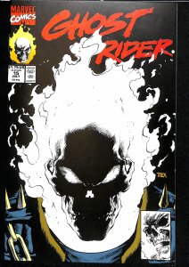 Ghost Rider #15 (1991)