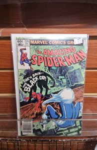 The Amazing Spider-Man #226 (1982)