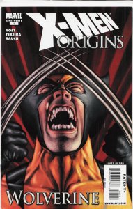 X-Men Origins: Wolverine (2009) Wolverine