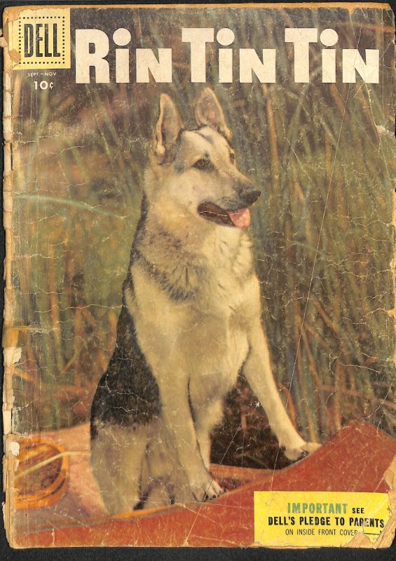 rin tin tin book review