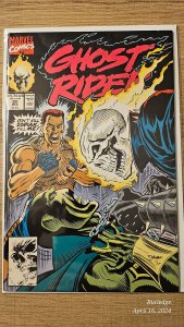 Ghost Rider #20 (1991)