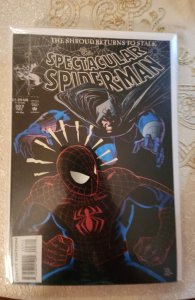 The Spectacular Spider-Man #207 (1993)