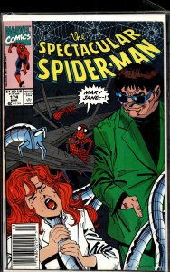 The Spectacular Spider-Man #174 (1991) Spider-Man